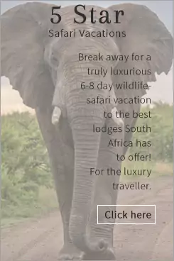 5 Star Kruger Park Safari Vacations